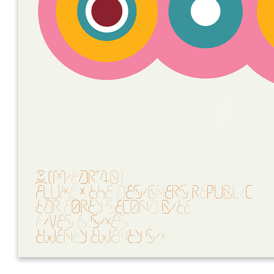 Limited Edition FLUKE × THE DESIGNERS REPUBLIC Screen Print – Hand-Numbered