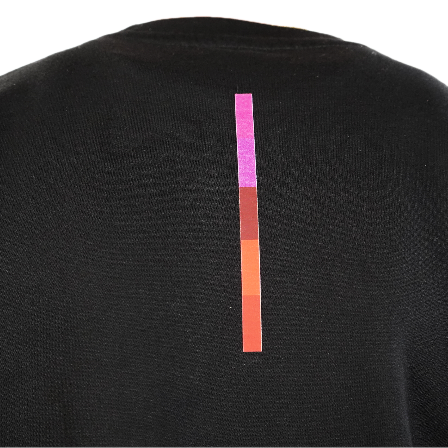 Limited Edition 'Insanely Beautiful' Sweatshirt